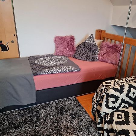 Feriendomizil Winter Apartment Volkach Ngoại thất bức ảnh